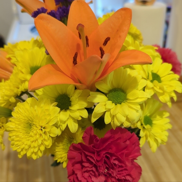 Meet your Posher, Pearl - Picture 1 of 1